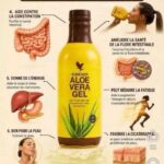 aloes vera